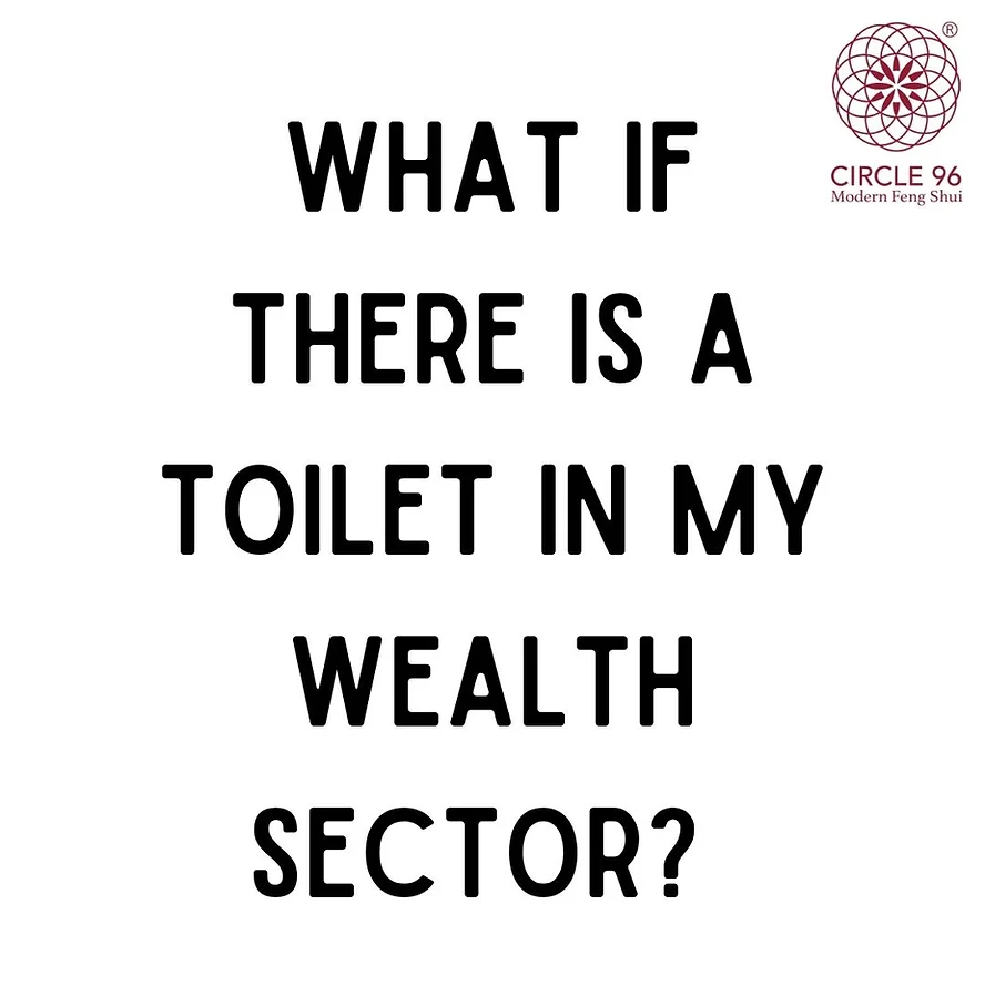 What If There Is A Toilet In My Wealth Sector?